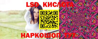 стафф Усть-Илимск
